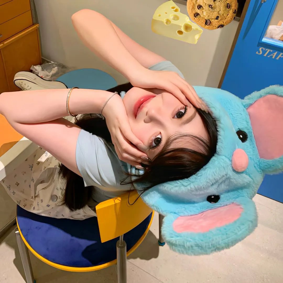 飞兔大联盟